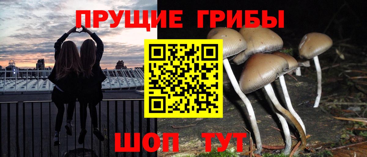 Псилоцибиновые грибы мицелий  Вход с VPN  Миасс  Псилоцибиновые грибы Cubensis 